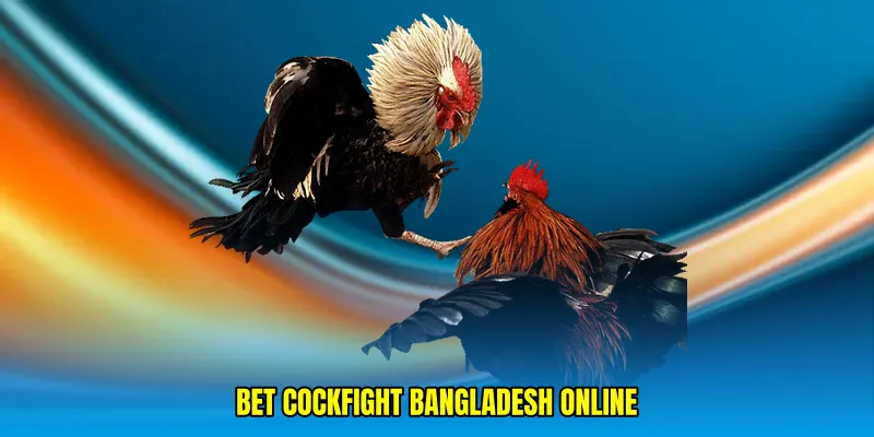 Bet cockfight Bangladesh online